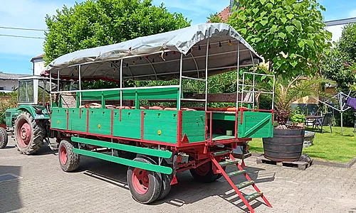 Planwagenfahrt mit Uwe Kleemann, Gimbsheim, Rheinhessen