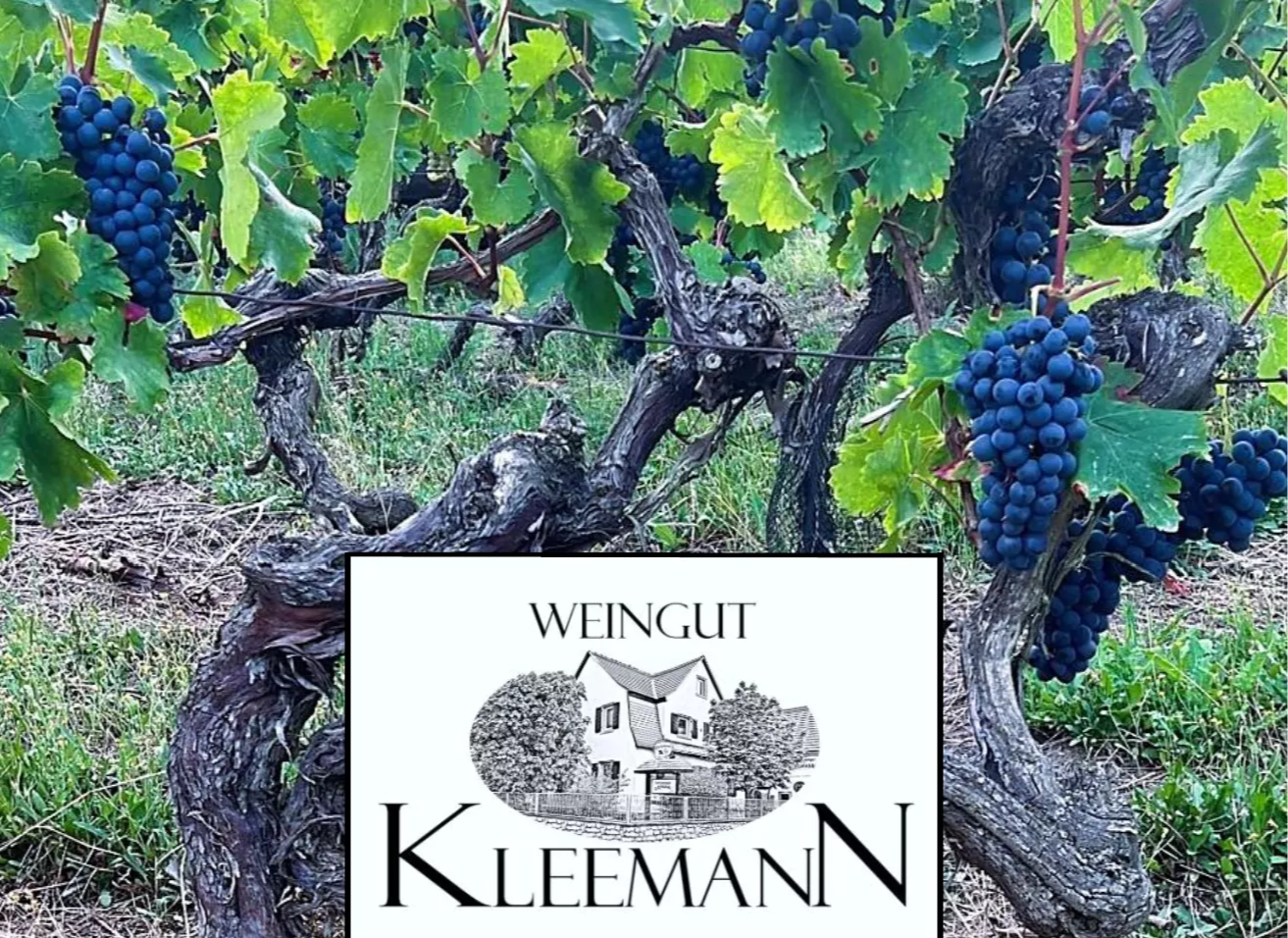 Weingut Kleemann, Gimbsheim - Weinkarte