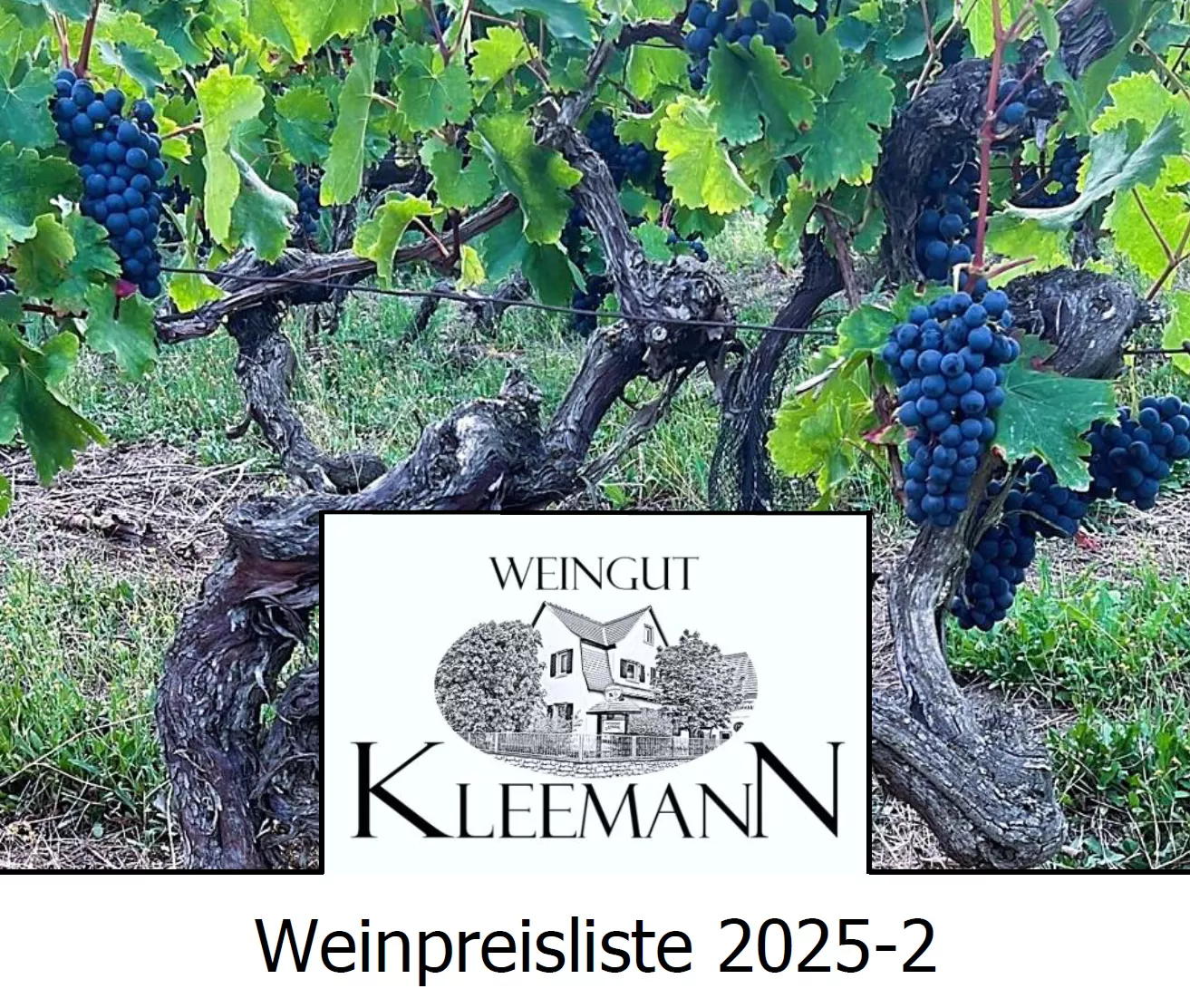 Weingut Kleemann, Gimbsheim - Weinkarte