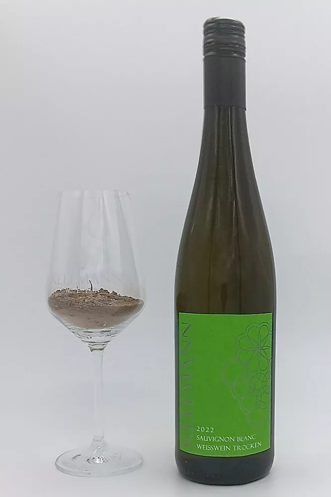 Weingut Uwe und Matthias Kleemann GbR - 2022er Sauvignon Blanc trocken