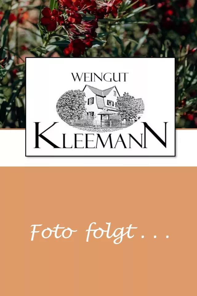 Weingut Uwe und Matthias Kleemann GbR - Prickelnde Kiste 6 Flaschen