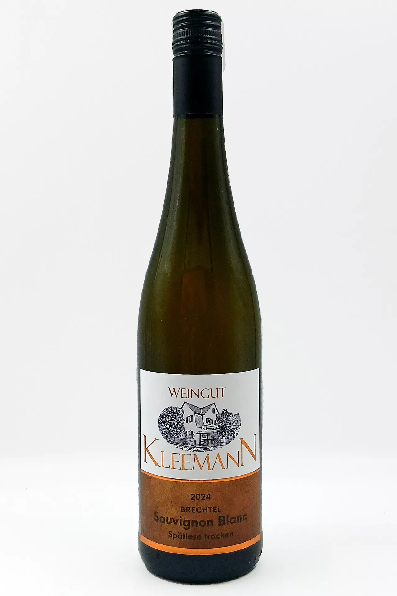 Weingut Uwe und Matthias Kleemann GbR - 2024er Sauvignon Blanc Spätlese trocken
