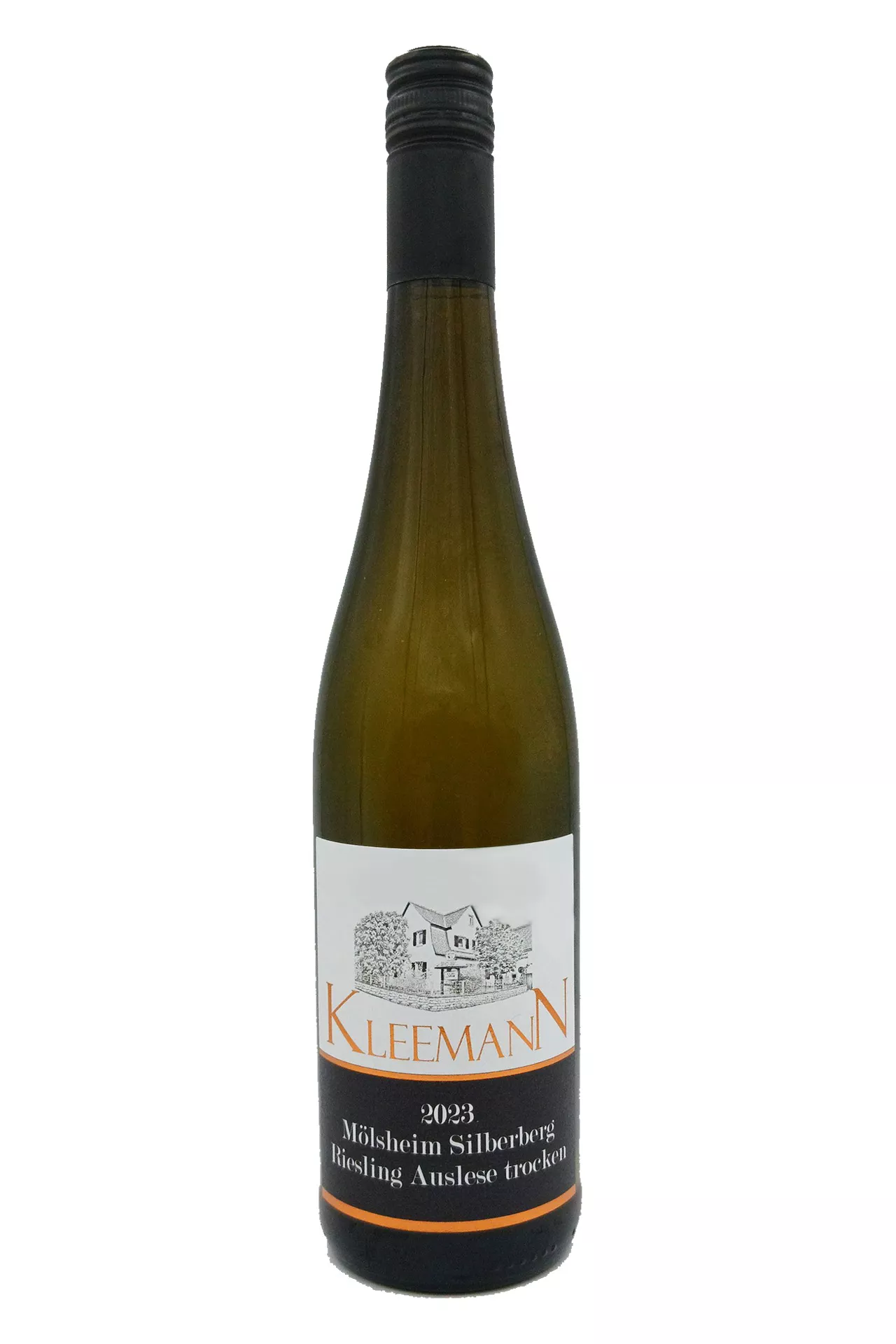 Weingut Uwe und Matthias Kleemann GbR - 2023er Mölsheimer Silberberg Riesling Auslese trocken