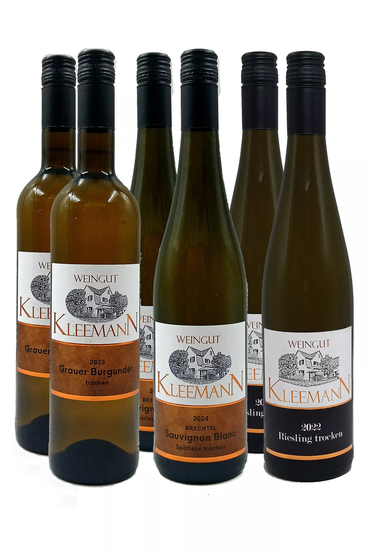 Weingut Uwe und Matthias Kleemann GbR - Trockene Weißwein-Kiste 6 Flaschen