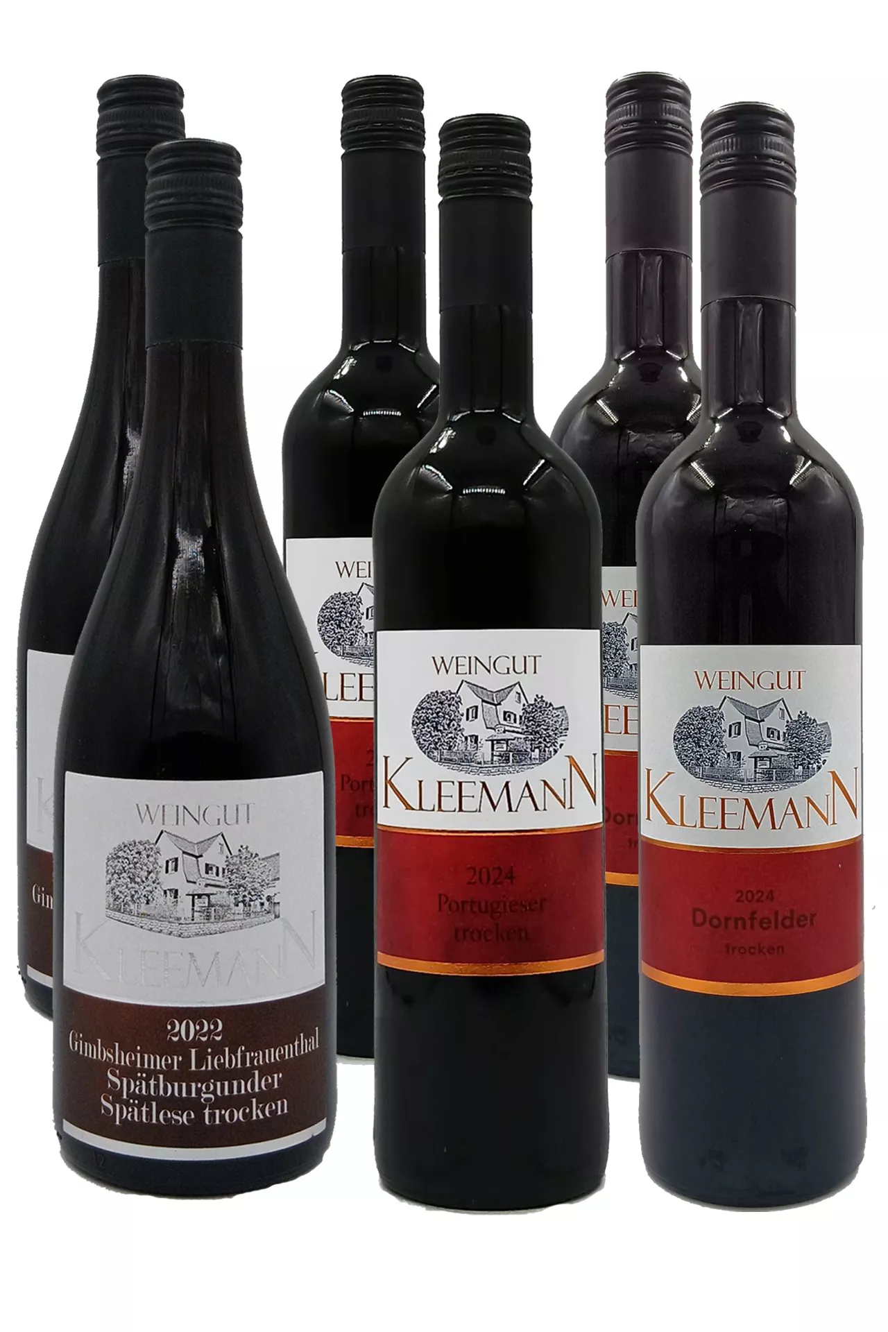 Weingut Uwe und Matthias Kleemann GbR - Trockene Rotweinkiste 6 x 0,75 L